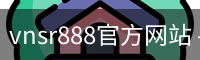 vnsr888官方网站 - 官方服务体系